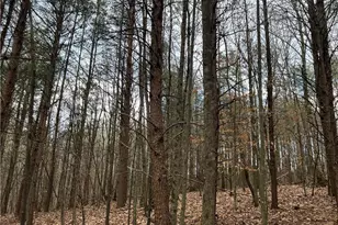 Lot 14 Fisher Valley Rd, Dobson, NC 27017 - Photo 1