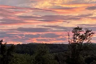 184 Deer Haven Rd, Sparta, NC 28675 - Photo 4