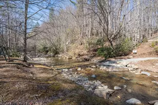 114 Sweetleaf, Deep Gap, NC 28618 - Photo 28