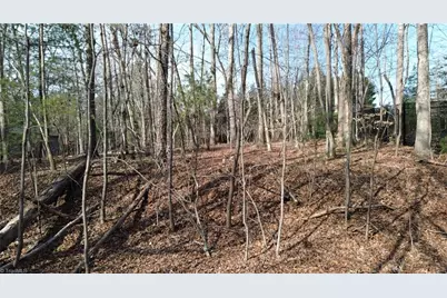 Tbd Woodland Drive, Elkin, NC 28621 - Photo 8