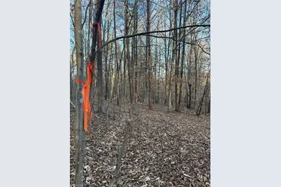 001 Estate Drive, Providence, NC 27315 - Photo 22