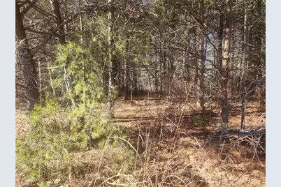 00 Golf Course Road, Pilot Mountain, NC 27041 - Photo 16