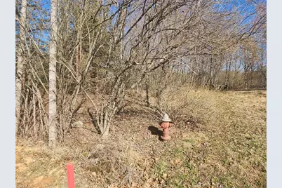 00 Golf Course Road, Pilot Mountain, NC 27041 - Photo 6