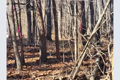 00 Golf Course Road, Pilot Mountain, NC 27041 - Photo 18