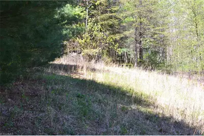 00 Swaringen Road, Traphill, NC 28685 - Photo 8