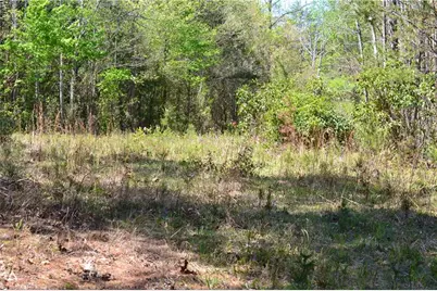 00 Swaringen Road, Traphill, NC 28685 - Photo 16