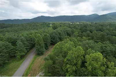 00 Swaringen Road, Traphill, NC 28685 - Photo 8