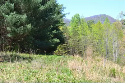 00 Swaringen Road, Traphill, NC 28685 - Photo 12