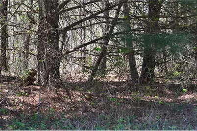 00 Swaringen Road, Traphill, NC 28685 - Photo 18