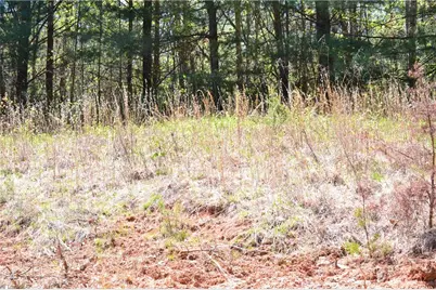 00 Swaringen Road, Traphill, NC 28685 - Photo 26