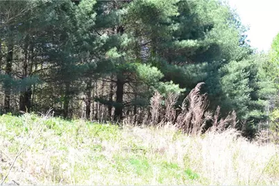 00 Swaringen Road, Traphill, NC 28685 - Photo 4