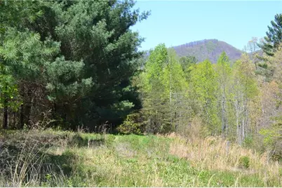 00 Swaringen Road, Traphill, NC 28685 - Photo 14