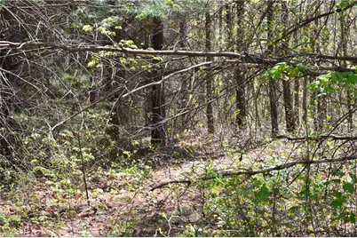 00 Swaringen Road, Traphill, NC 28685 - Photo 24