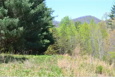 00 Swaringen Road, Traphill, NC 28685 - Photo 2