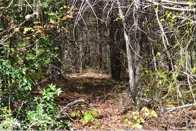 00 Swaringen Road, Traphill, NC 28685 - Photo 22