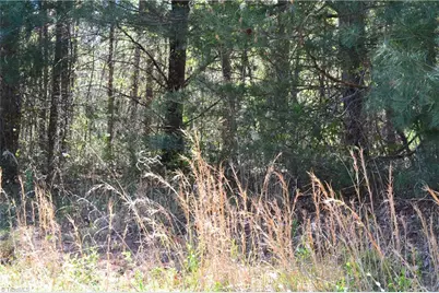 00 Swaringen Road, Traphill, NC 28685 - Photo 14