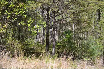 00 Swaringen Road, Traphill, NC 28685 - Photo 20