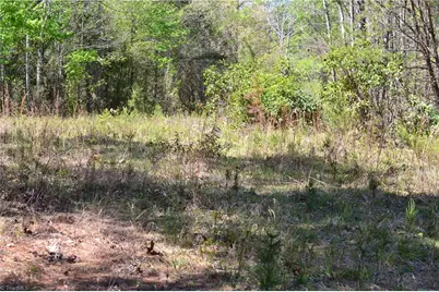 00 Swaringen Road, Traphill, NC 28685 - Photo 10