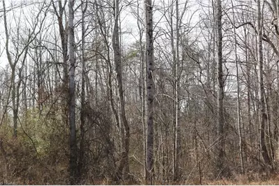 0 Jones Chapel Road, Reidsville, NC 27320 - Photo 1