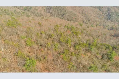 Tbd White Oak Road, Purlear, NC 28665 - Photo 28