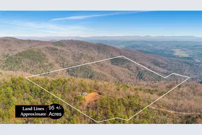 Tbd White Oak Road, Purlear, NC 28665 - Photo 16