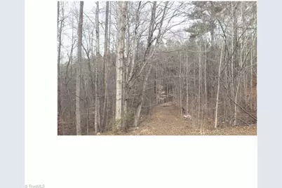 00 Mountview Drive, Pelham, NC 27311 - Photo 2