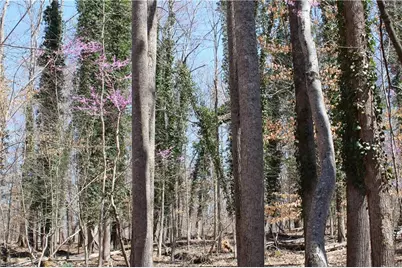 0 Jones Road, Reidsville, NC 27320 - Photo 24