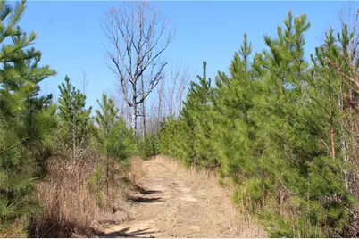 0 Jones Road, Reidsville, NC 27320 - Photo 1