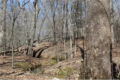 0 Jones Road, Reidsville, NC 27320 - Photo 8