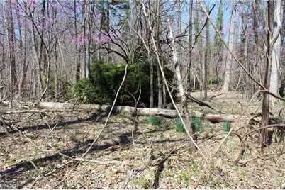 0 Jones Road, Reidsville, NC 27320 - Photo 28