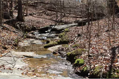 0 Jones Road, Reidsville, NC 27320 - Photo 10