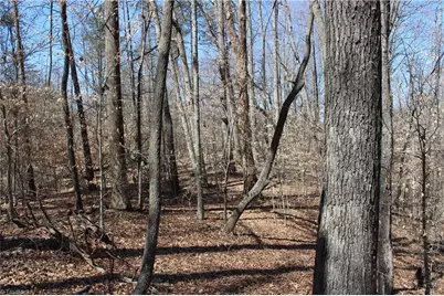 0 Jones Road, Reidsville, NC 27320 - Photo 14