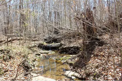 0 Jones Road, Reidsville, NC 27320 - Photo 16