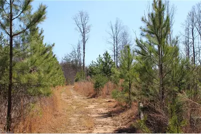 0 Jones Road, Reidsville, NC 27320 - Photo 2