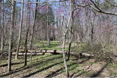 0 Jones Road, Reidsville, NC 27320 - Photo 30