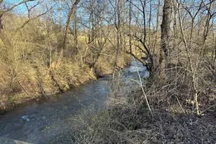 290 Painter Ln, McGrady, NC 28649 - Photo 18