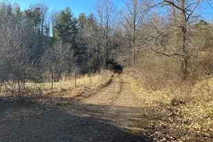 290 Painter Ln, McGrady, NC 28649 - Photo 10