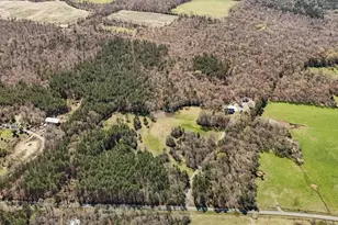 23901 Nc Hwy 902, Bennett, NC 27208 - Photo 48