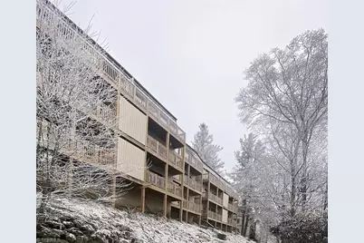 103 Mid Holiday Lane, Beech Mountain, NC 28604 - Photo 20