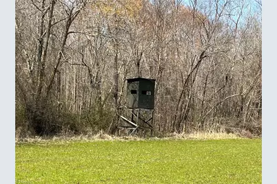 44 +/- Ac Island Drive, Madison, NC 27025 - Photo 28