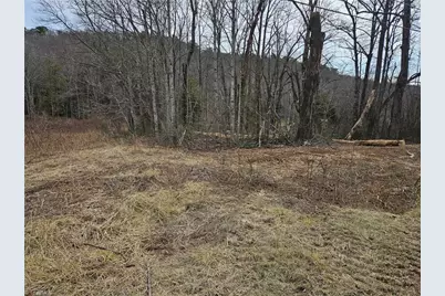 0 Blue Hollow Road #29, Mount Airy, NC 27030 - Photo 10