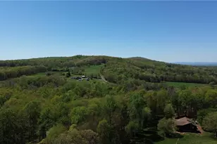 2121/2117 Swan Creek Rd, Jonesville, NC 28642 - Photo 48