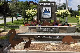 301 Pinnacle Inn Rd, Beech Mountain, NC 28604 - Photo 36