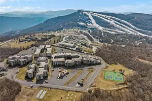 301 Pinnacle Inn Rd, Beech Mountain, NC 28604 - Photo 2