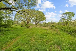 4858 US Hwy 311, Sophia, NC 27350 - Photo 10