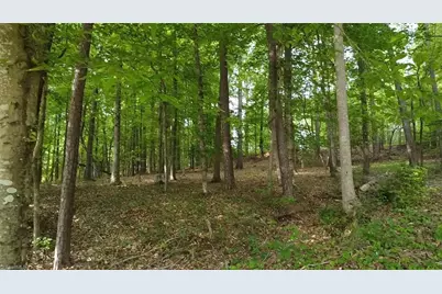 Lot 12 Johns Ridge Drive, Asheboro, NC 27205 - Photo 6