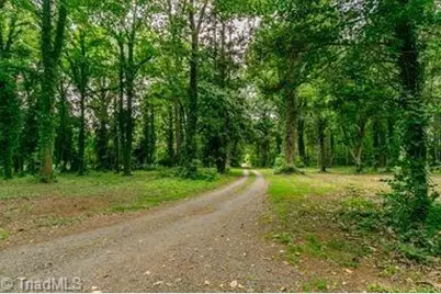 6238 Old 421 Road, Liberty, NC 27298 - Photo 4