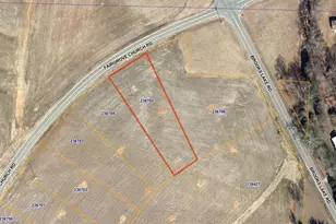 8554 Fairgrove Church Rd, Browns Summit, NC 27214 - Photo 4