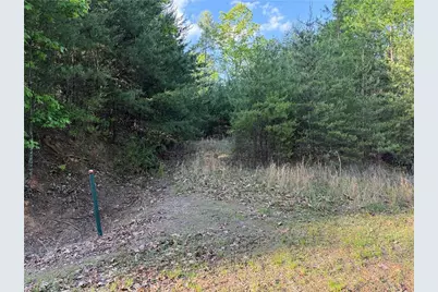 Lot 27 Wolf Pen Road, Purlear, NC 28665 - Photo 4