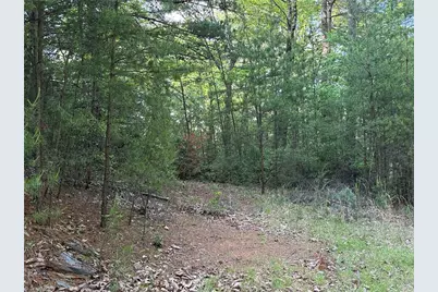 Lot 27 Wolf Pen Road, Purlear, NC 28665 - Photo 10